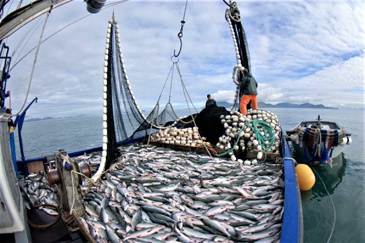 Más de S/ 5 millones a Fondepes para reactivar economía de los pescadores artesanales con créditos y otros.