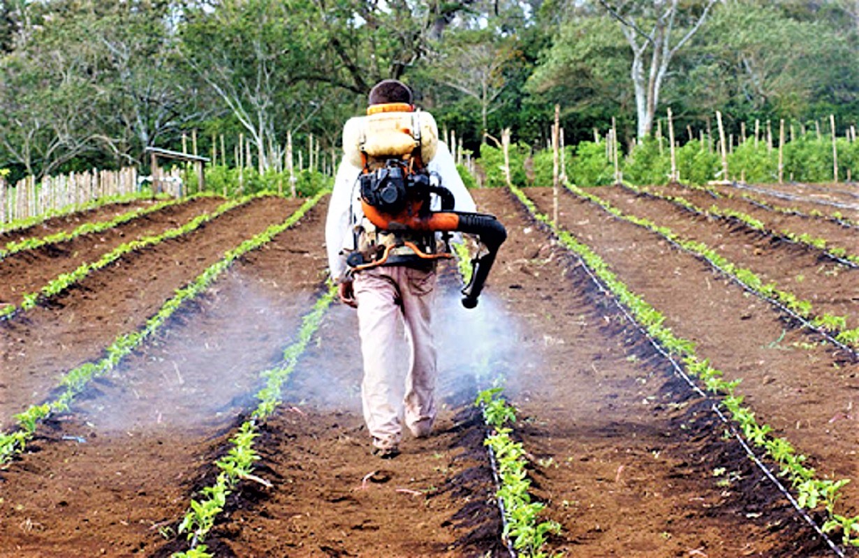 La protección de la salud de los consumidores es tarea primordial en países donde usamos pesticidas informó ADEX.