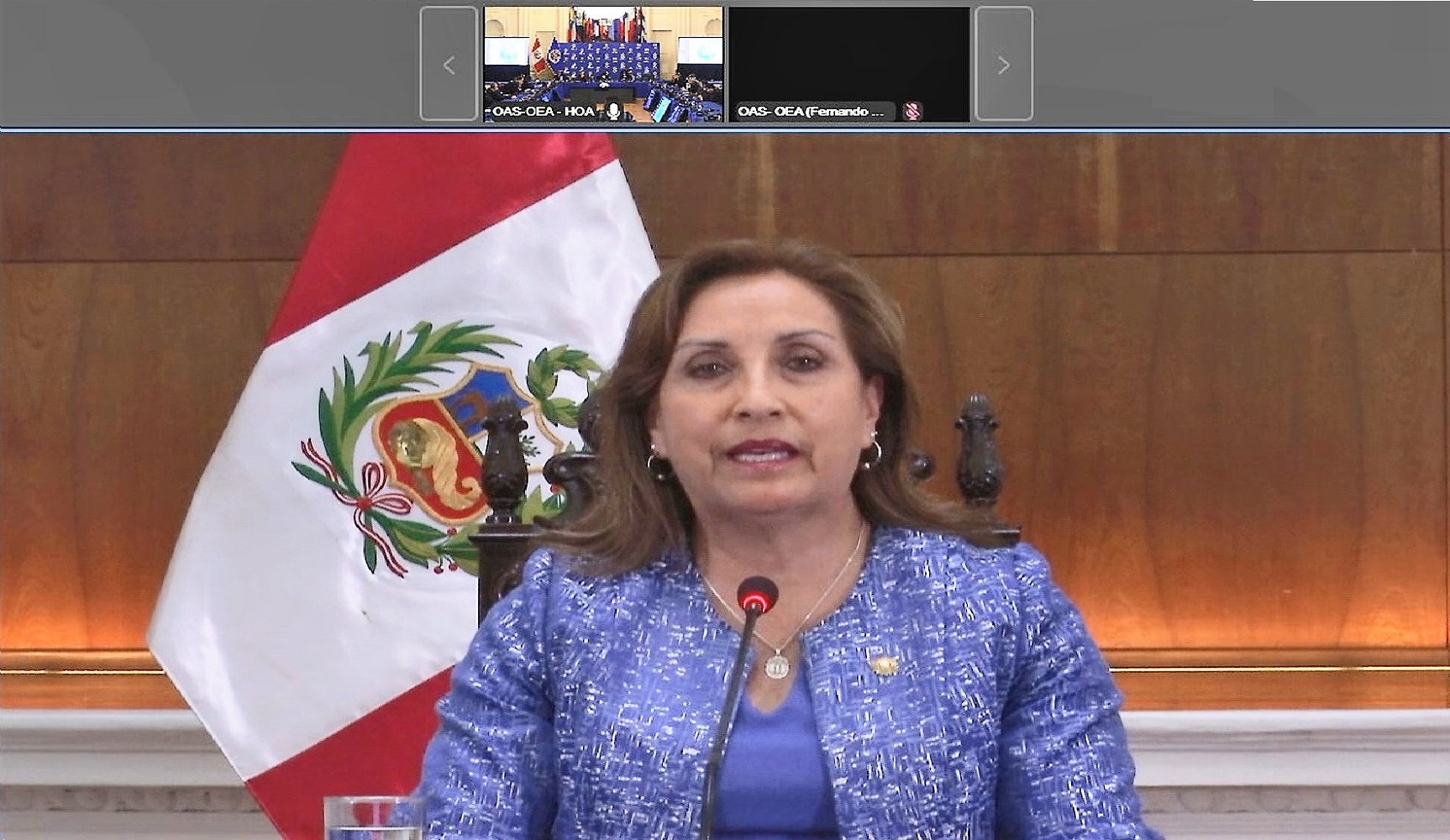 Dina Boluarte, indicó ante Consejo Permanente de la OEA, que situación del Perú se resuelve con paz, diálogo y elecciones democráticas.