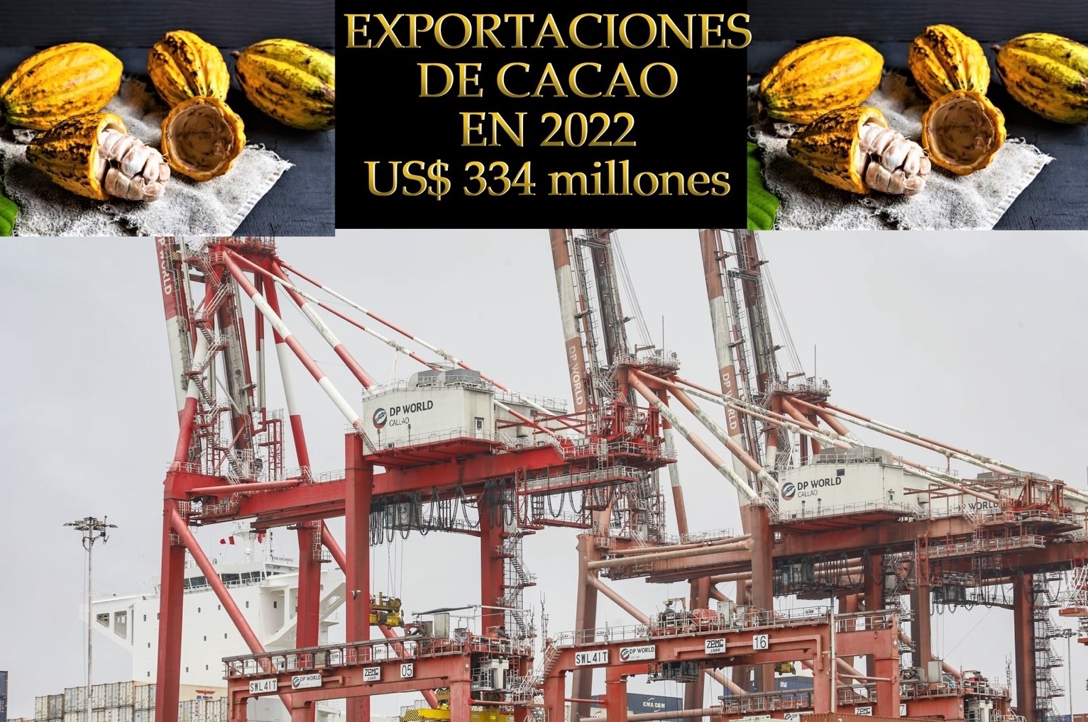 Exportaciones de cacao en crecimiento por su calidad y elementos diferenciados, en el año 2022 envíos ascendieron a casi US$ 334 millones.