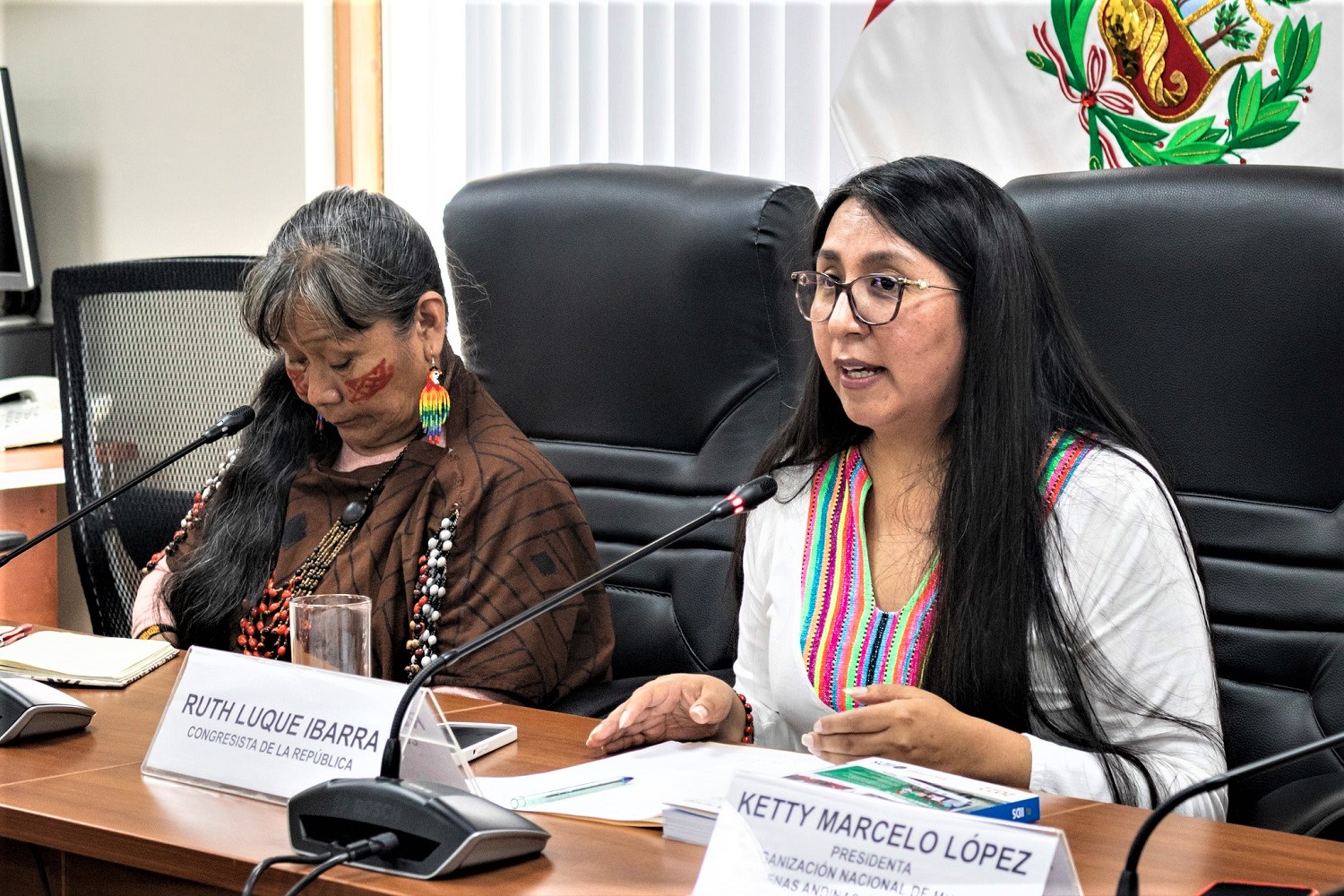 Se requiere que el Ejecutivo garantizar derechos fundamentales de los pueblos indígenas, sostuvo Congresista Ruth Luque Ibarra.