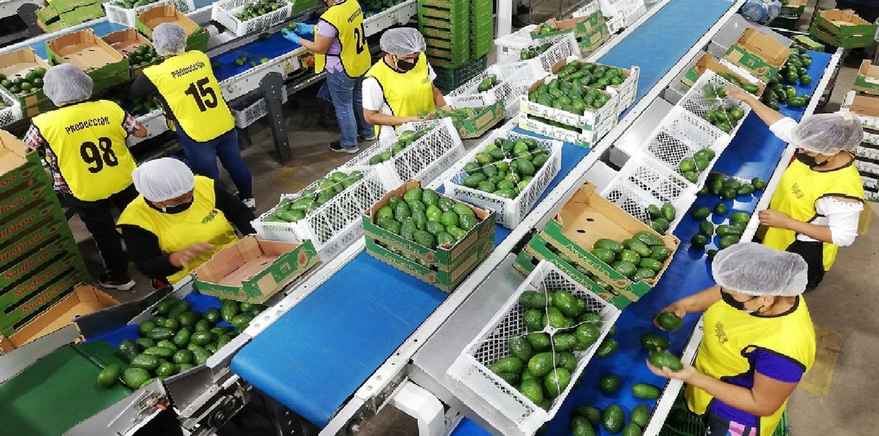 Agroexportaciones nacionales desandan -2.9% de enero a julio, cambio climático y los sobrecostos en el canal de Panamá preocupa a empresarios peruanos.