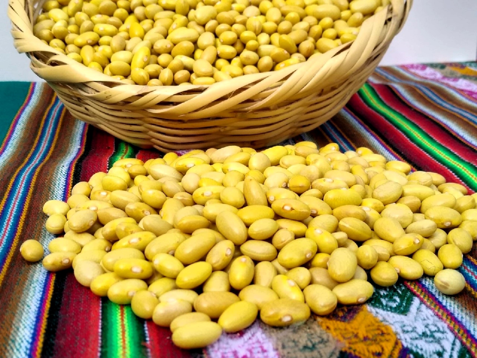 ADEX informó en el Día Mundial de las Legumbres, que durante el 2023 las envíos de legumbres peruanas sumaron los US$ 135 millones.