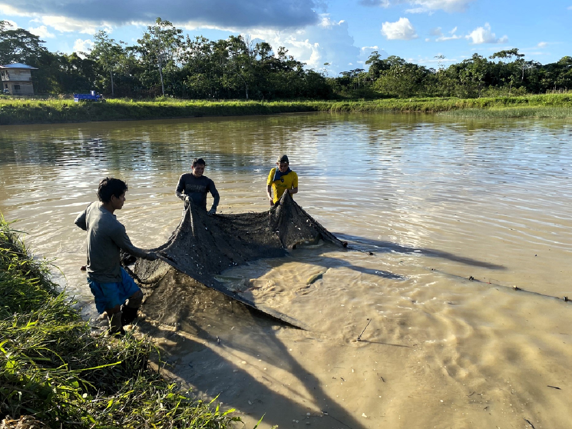 Buenas prácticas acuícolas, PRODUCE indicó que Sanipes y DEVIDA fortalecen labores acuícolas y bioseguridad en Huánuco.