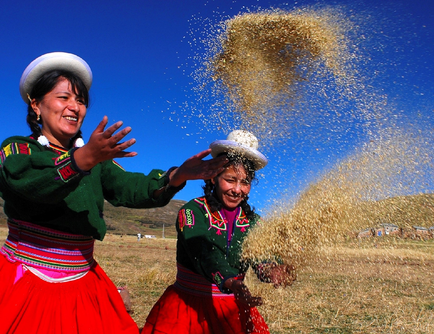 ADEX: Envíos de granos andinos como la quinua, el maíz gigante, chía, maíz chulpi, kiwicha y cañihua al mundo superaron los US$ 43 millones entre enero y abril.