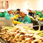 Asociación de Exportadores (ADEX): “Perú Apunta a un nuevo salto histórico en agroexportaciones con la nueva ley agraria”.