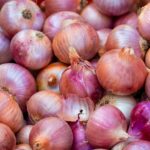 Exportaciones de cebolla peruana caen -16% en el primer semestre de 2025, el principal destino de esta hortaliza peruana sigue siendo EE.UU.
