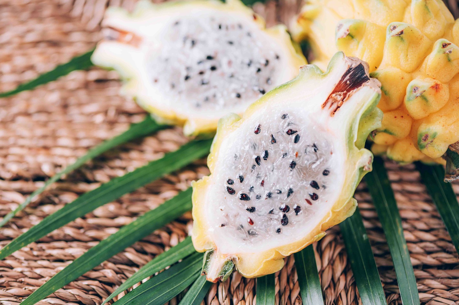 Pitahaya Peruana: "Nueva norma homologada por Inacal define estándares de producción sostenible y segura, robusteciendo su calidad para mercados globales".
