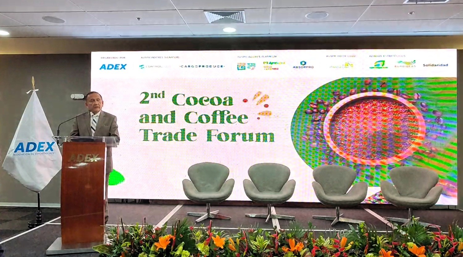 Cacao Peruano de Crecimiento a Contracción: ADEX urge estrategias de competitividad y sostenibilidad como el nuevo oro para el cacao peruano en el mercado mundial.