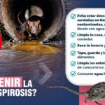 ¡CUIDADO CON LOS SÍNTOMAS! Expertos alertan sobre la ‘Leptospirosis’ una enfermedad que ataca rápido y puede ser mortal.​