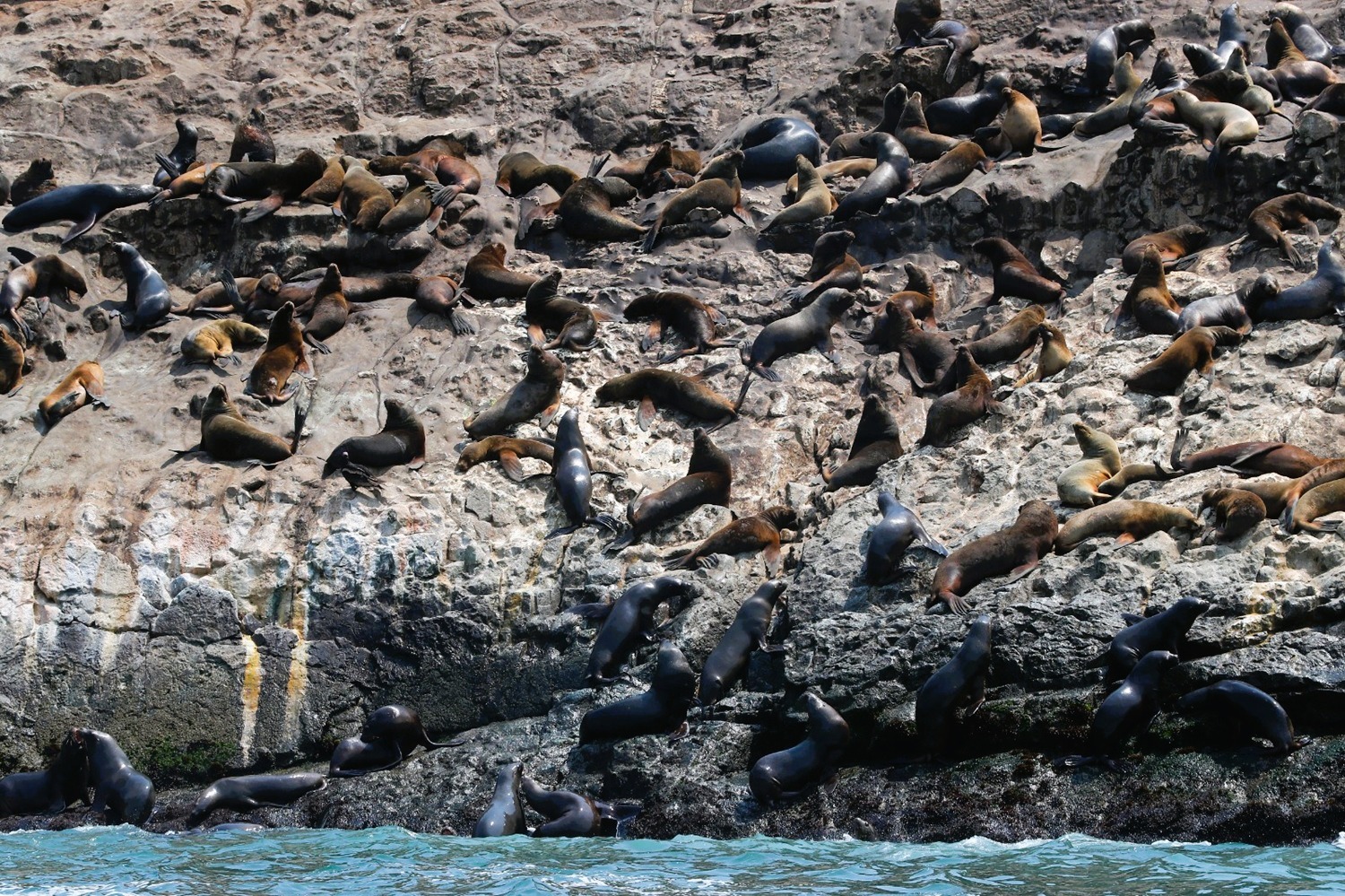 ¡Hacia el PBI Marítimo! "Perú adopta estándares internacionales para valorar y cuidar sus océanos, con una 'Política Nacional Marítima 2019-2030' para la adhesión a GOAP".