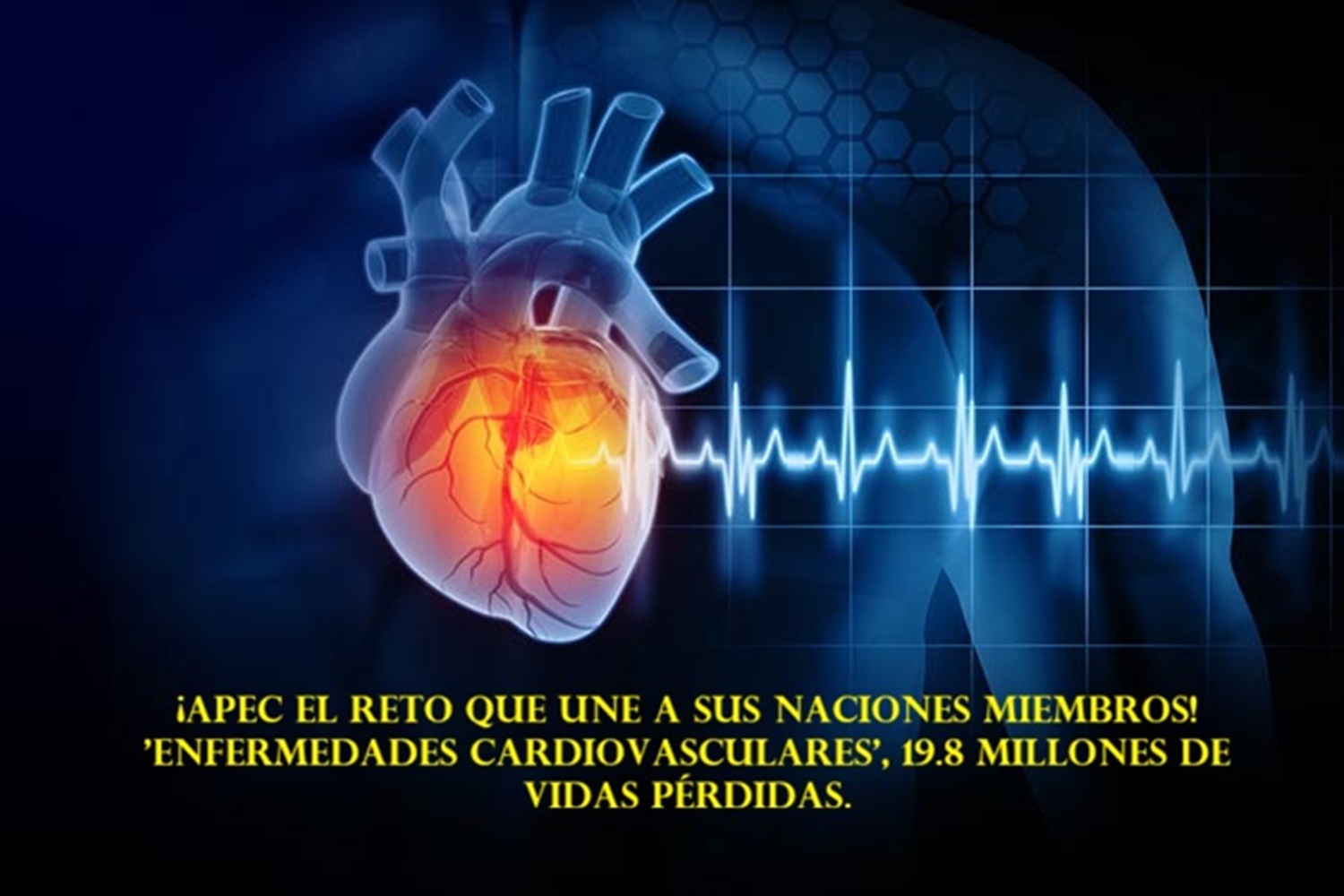 ¡APEC el Reto que Une a sus Naciones Miembros! 'Enfermedades Cardiovasculares', 19.8 millones de vidas perdidas. 'Salud = Riqueza' Perú copatrocina hoja de ruta histórica, cuidar el corazón es también fortalecer la economía.​​
