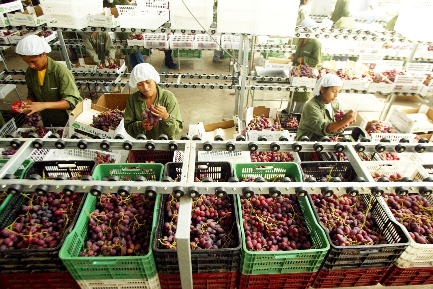 Agroexportaciones peruanas crecen 1.9% en ocho meses de 2026, pero pierden impulso frente a riesgos climáticos y menores precios en sus envíos. Se confirma que 'El Niño' empieza a presionar a la baja los rendimientos agrícolas.